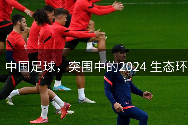 中国足球，突围中的2024 生态环境将实现好转