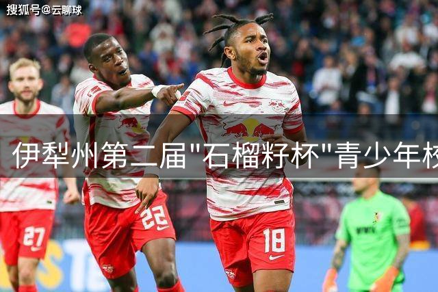 伊犁州第二届"石榴籽杯"青少年校园足球联赛暨抖音足球少年行州级足球联赛圆满闭幕