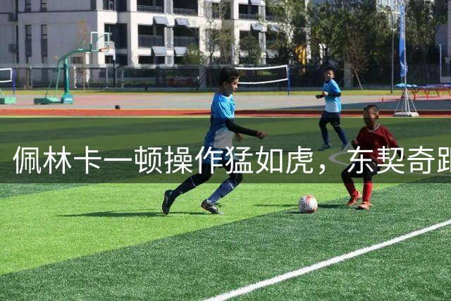 佩林卡一顿操作猛如虎，东契奇距离终生无冠再进一步