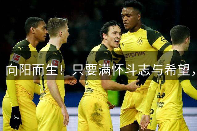 向阳而生！只要满怀斗志与希望，就能一往无前，铁人加油！